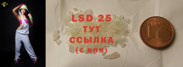 трава Коряжма