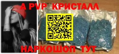 стафф Гатчина