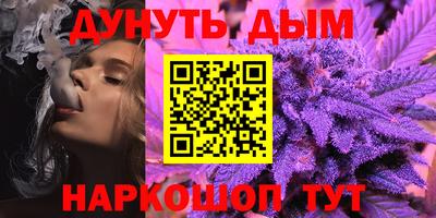 стафф Гатчина