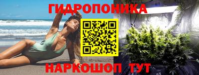 стафф Гатчина