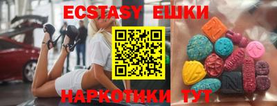 стафф Гатчина