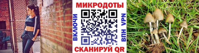 Галлюциногенные грибы MAGIC MUSHROOMS  блэк спрут маркетплейс  Карачаевск 